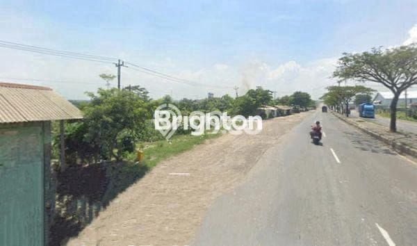 Untuk Dijual Tanah di Kaliwungu Kendal Luas 10000m2 SHM Untuk Dijual Tanah di Kaliwungu Kendal Luas 10000m2 SHM