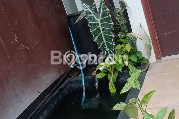 For Sale Rumah 4 Kamar Lokasi Ideal Nyaman dan Strategis di Banyumanik For Sale Rumah 4 Kamar Lokasi Ideal Nyaman dan Strategis di Banyumanik