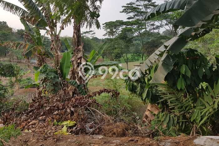Lahan Investasi Lokasi Gunung Sindur Bogor SHM Lahan Investasi Lokasi Gunung Sindur Bogor SHM