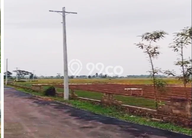Tanah di Brebes, Brebes Luas 65000m2 Dijual Segera Tanah di Brebes, Brebes Luas 65000m2 Dijual Segera