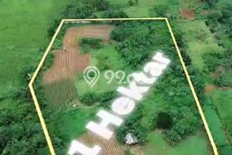 Lahan Investasi Lokasi Pagedangan Tangerang SHM Lahan Investasi Lokasi Pagedangan Tangerang SHM
