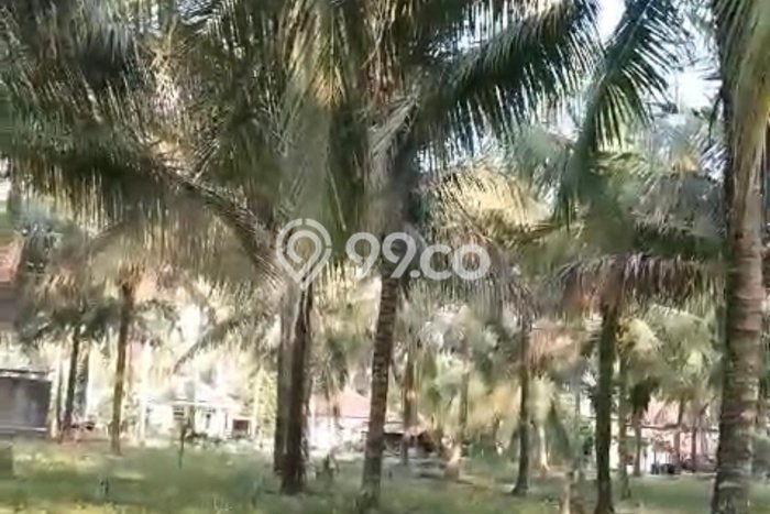 Dijual Tanah Lokasi Way Krui, Lampung Barat Seluas 30800m2 Dijual Tanah Lokasi Way Krui, Lampung Barat Seluas 30800m2