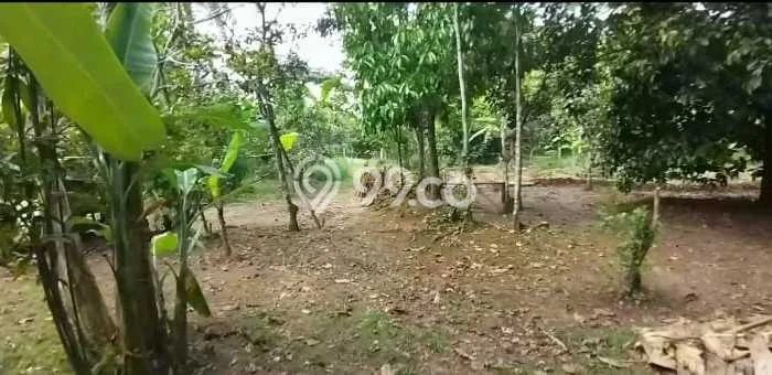 Kavling Tanah Dijual di Rangkasbitung Lebak Spesifikasi 17m2 Kavling Tanah Dijual di Rangkasbitung Lebak Spesifikasi 17m2