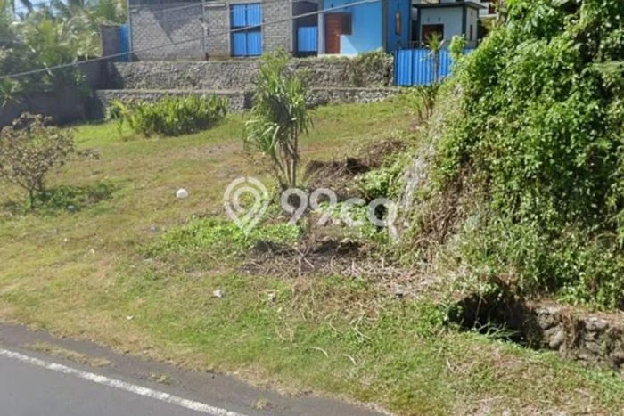 Kavling Tanah di Pekutatan Dijual Luas 2000m2 Legalitas SHM Kavling Tanah di Pekutatan Dijual Luas 2000m2 Legalitas SHM