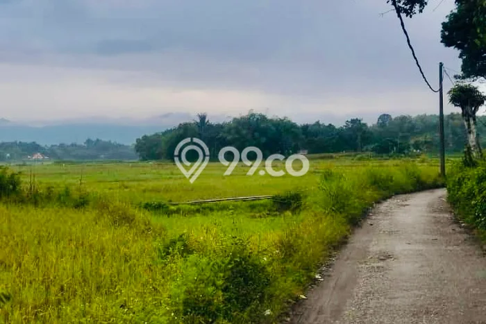 Kavling Tanah Dijual di Sigumpar, Toba Samosir, Luas 925m2 Area Strategis Kavling Tanah Dijual di Sigumpar, Toba Samosir, Luas 925m2 Area Strategis