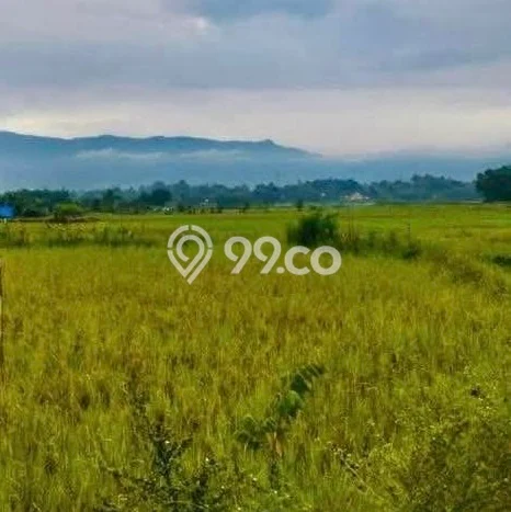 Kavling Tanah Dijual di Sigumpar, Toba Samosir, Luas 925m2 Area Strategis Kavling Tanah Dijual di Sigumpar, Toba Samosir, Luas 925m2 Area Strategis