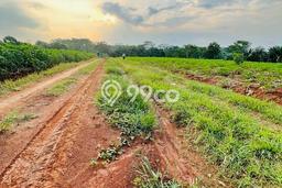 Tanah Kosong Dijual di Lampung Utara dengan Area 32960m2 Tanah Kosong Dijual di Lampung Utara dengan Area 32960m2