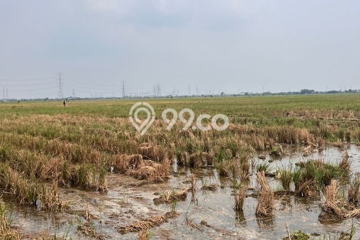 Kavling Tanah Dijual di Karangbahagia, Bekasi, Luas 69000m2 Area Strategis Kavling Tanah Dijual di Karangbahagia, Bekasi, Luas 69000m2 Area Strategis
