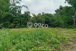 Tanah di Mlati, Sleman Luas 113m2 Dijual Segera Tanah di Mlati, Sleman Luas 113m2 Dijual Segera