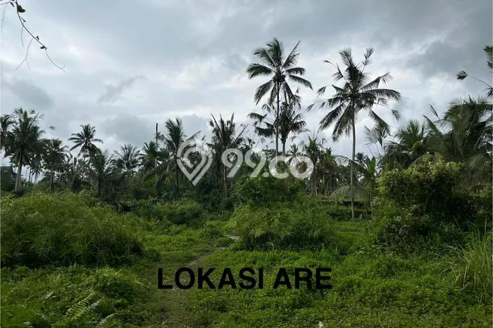 Kavling Tanah untuk Dijual di Kenderan, Gianyar, Luas 15000m2 Kavling Tanah untuk Dijual di Kenderan, Gianyar, Luas 15000m2