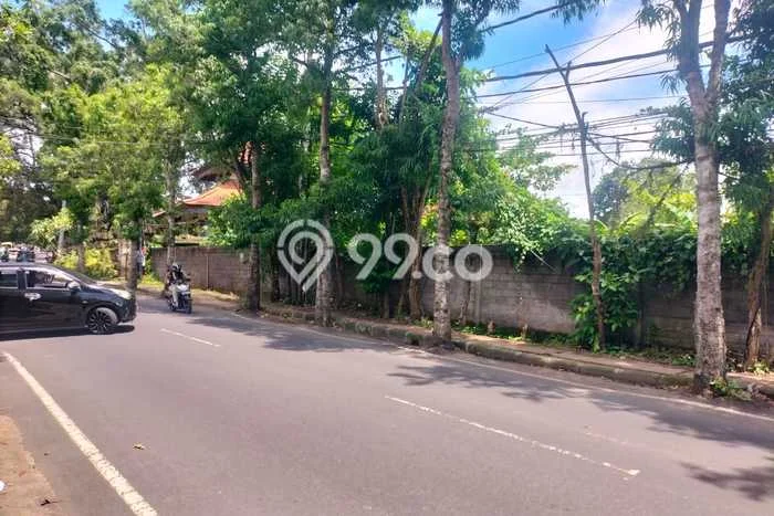 Tanah Dijual Lokasi Strategis di Gianyar dengan Luas 4100m2 Tanah Dijual Lokasi Strategis di Gianyar dengan Luas 4100m2