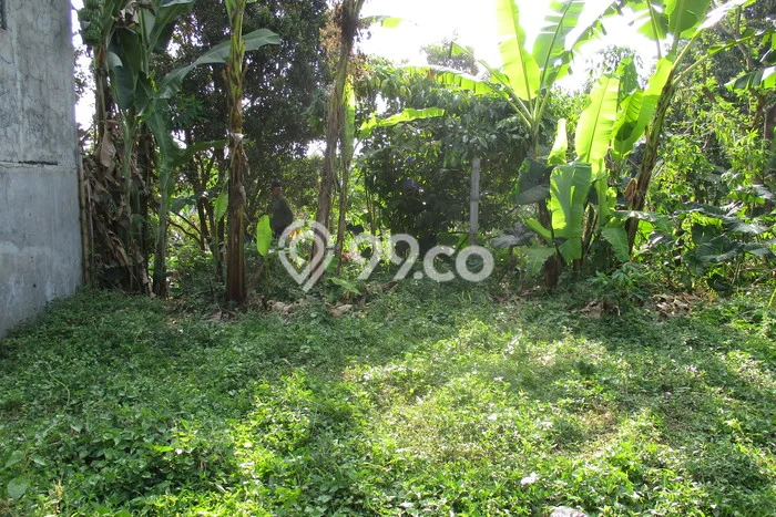 Untuk Dijual Tanah di Cimahi Utara Cimahi Luas 936m2 SHM Untuk Dijual Tanah di Cimahi Utara Cimahi Luas 936m2 SHM