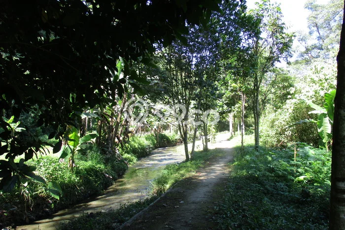 Tanah Dijual Area Strategis di Lembang Bandung 3165m2 Tanah Dijual Area Strategis di Lembang Bandung 3165m2