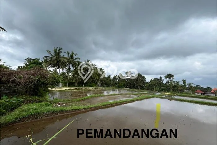 Kavling Tanah untuk Dijual di Kenderan, Gianyar, Luas 15000m2 Kavling Tanah untuk Dijual di Kenderan, Gianyar, Luas 15000m2