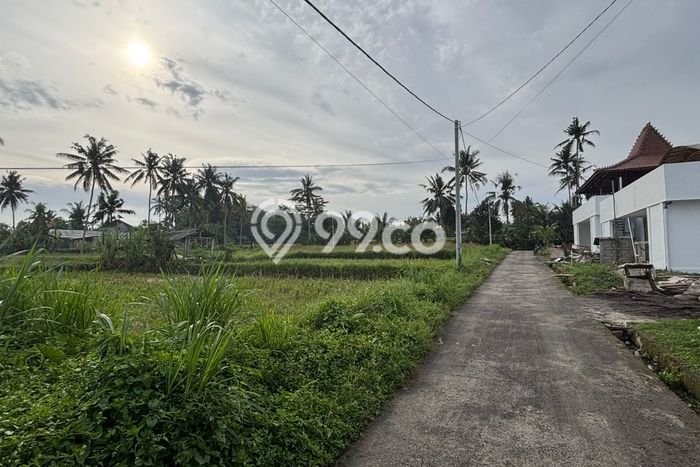 Dijual Tanah Lokasi Pejeng, Gianyar Seluas 2000m2 Dijual Tanah Lokasi Pejeng, Gianyar Seluas 2000m2