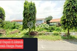 Tanah Siap Bangun Dijual di Cirebon Punya Luas 1200m2 Tanah Siap Bangun Dijual di Cirebon Punya Luas 1200m2