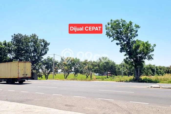 Tanah Kosong Dijual di Indramayu dengan Area 12775m2 Tanah Kosong Dijual di Indramayu dengan Area 12775m2
