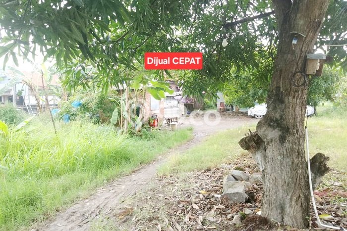 Kavling Tanah Dijual di Tengah Tani Cirebon Spesifikasi 127m2 Kavling Tanah Dijual di Tengah Tani Cirebon Spesifikasi 127m2