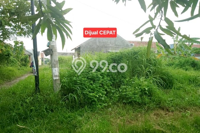 Kavling Tanah Dijual di Tengah Tani Cirebon Spesifikasi 127m2 Kavling Tanah Dijual di Tengah Tani Cirebon Spesifikasi 127m2