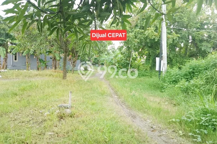 Kavling Tanah Dijual di Tengah Tani Cirebon Spesifikasi 127m2 Kavling Tanah Dijual di Tengah Tani Cirebon Spesifikasi 127m2