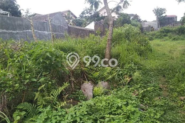 Tanah Komersial Dijual di Argomulyo Salatiga 530m2 Tanah Komersial Dijual di Argomulyo Salatiga 530m2