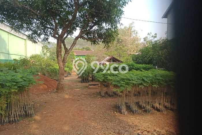 Tanah untuk Dijual di Kajen Pekalongan Luas 1000m2 Tanah untuk Dijual di Kajen Pekalongan Luas 1000m2