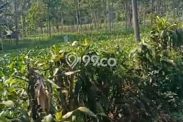 Lahan Kosong Dijual di Bumijawa, Tegal, Luas 10m2 Area Strategis Lahan Kosong Dijual di Bumijawa, Tegal, Luas 10m2 Area Strategis