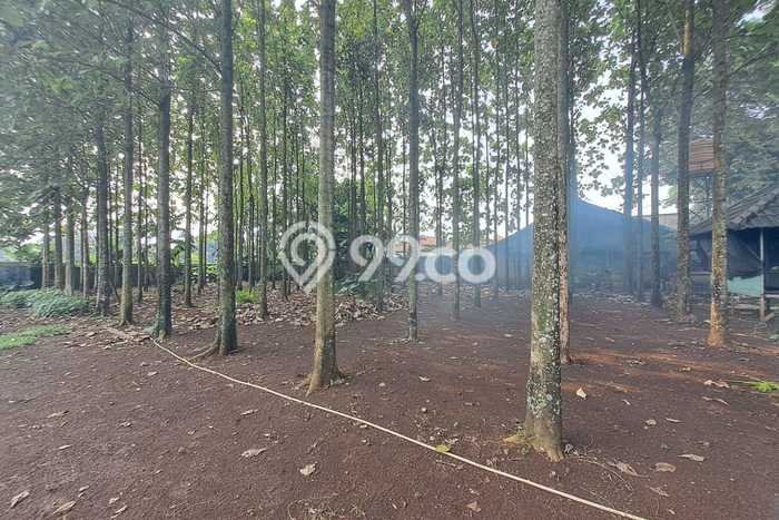 Tanah untuk Dijual di Serpong Tangerang Selatan Luas 1860m2 Tanah untuk Dijual di Serpong Tangerang Selatan Luas 1860m2