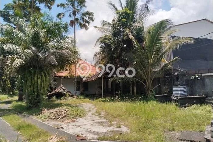 Tanah Dijual Area Strategis di Sayan Gianyar 6600m2 Tanah Dijual Area Strategis di Sayan Gianyar 6600m2