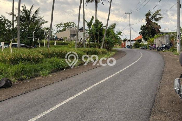 Kavling Tanah Dijual di Tabanan Tabanan Spesifikasi 1400m2 Kavling Tanah Dijual di Tabanan Tabanan Spesifikasi 1400m2