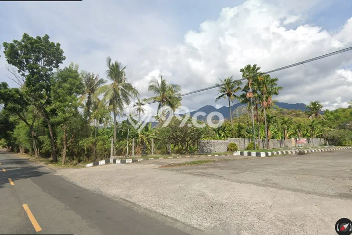 Tanah Investasi Dijual di Buleleng Punya Luas 10000m2 Tanah Investasi Dijual di Buleleng Punya Luas 10000m2