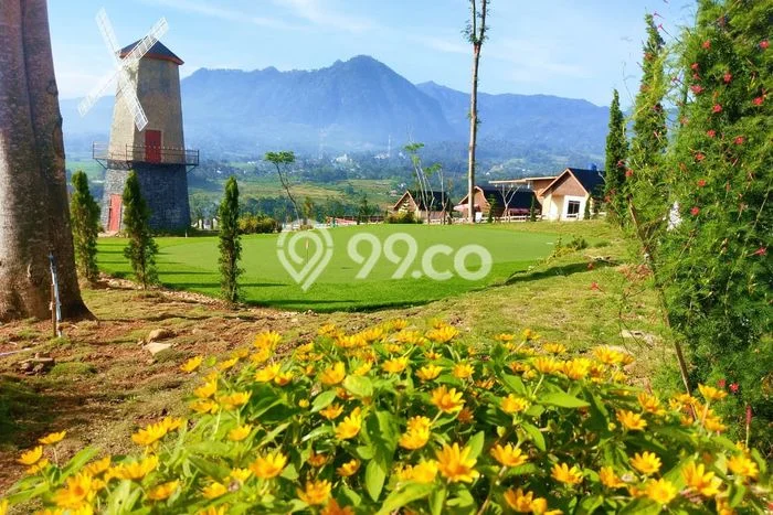 Dijual Tanah di Sukamakmur Bogor Luas 100m2 SHM Dijual Tanah di Sukamakmur Bogor Luas 100m2 SHM