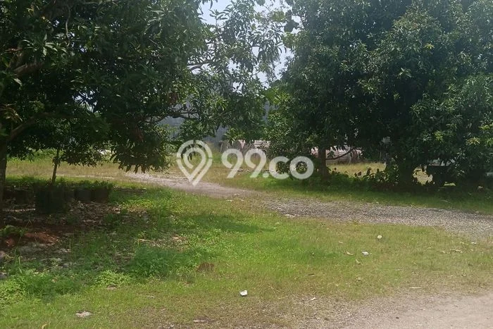 Tanah Disewakan di Serpong Utara, Tangerang Selatan, Luas 2500m2 SHM Tanah Disewakan di Serpong Utara, Tangerang Selatan, Luas 2500m2 SHM