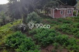 Tanah Dijual Lokasi Strategis di Buleleng dengan Luas 8750m2 Tanah Dijual Lokasi Strategis di Buleleng dengan Luas 8750m2