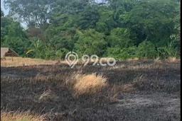 Tanah Dijual Lokasi Kediri, Tabanan Luas 30000m2 Legalitas Aman Tanah Dijual Lokasi Kediri, Tabanan Luas 30000m2 Legalitas Aman