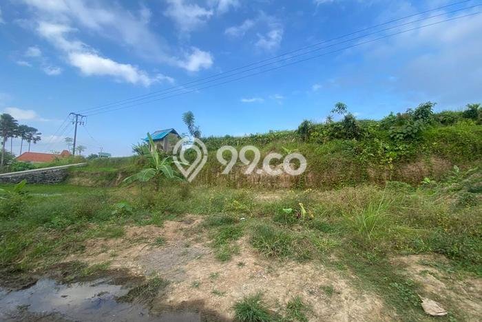 Kavling Tanah untuk Dijual di Peliatan, Gianyar, Luas 3390m2 Kavling Tanah untuk Dijual di Peliatan, Gianyar, Luas 3390m2