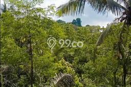 Jarang Ada! Tanah di Ubud Punya Luas 4913m2 SHM Jarang Ada! Tanah di Ubud Punya Luas 4913m2 SHM