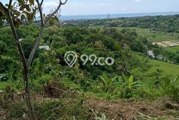 Lahan Kosong Dijual di Buleleng dengan Area 13000m2 Lahan Kosong Dijual di Buleleng dengan Area 13000m2