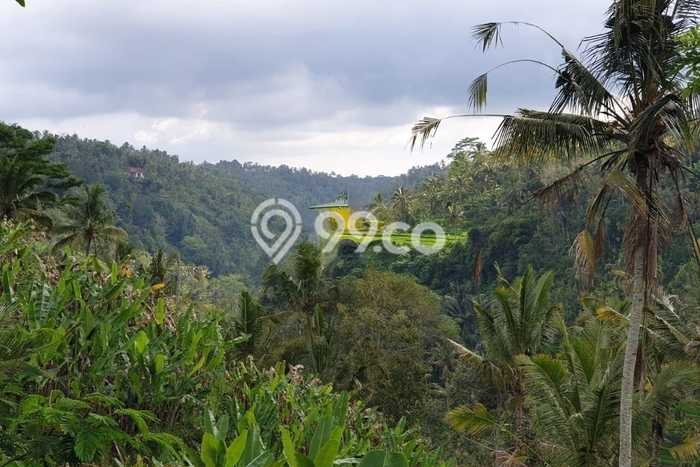 Lahan untuk Dijual di Payangan Gianyar Luas 100000m2 Lahan untuk Dijual di Payangan Gianyar Luas 100000m2