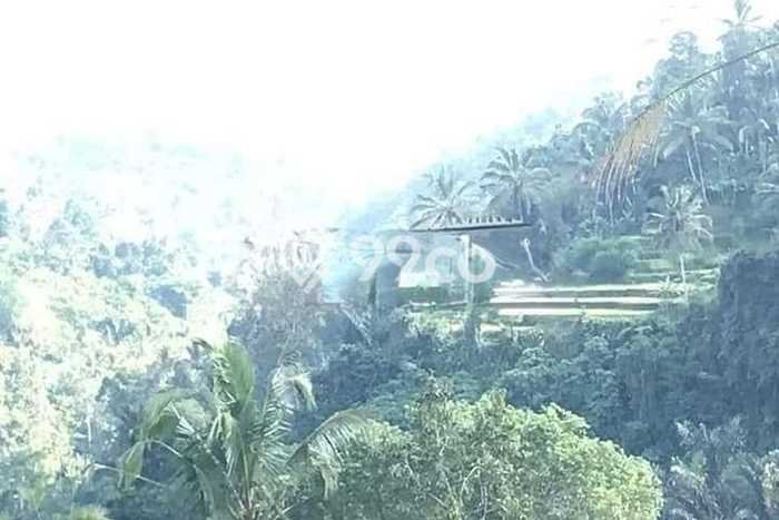 Lahan untuk Dijual di Payangan Gianyar Luas 100000m2 Lahan untuk Dijual di Payangan Gianyar Luas 100000m2