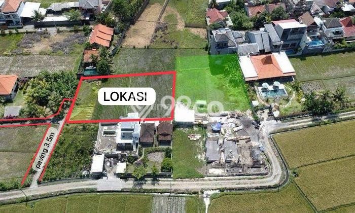 Untuk Dijual Tanah di Tabanan, Luas 1100m2 SHM Untuk Dijual Tanah di Tabanan, Luas 1100m2 SHM