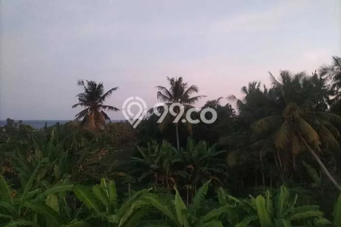 Hunian Luxury Siap Huni di Gianyar Fasilitas Lengkap Hunian Luxury Siap Huni di Gianyar Fasilitas Lengkap