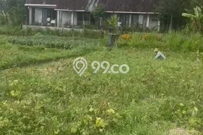 Tanah Dijual Area Strategis di Pejeng Gianyar 2500m2 Tanah Dijual Area Strategis di Pejeng Gianyar 2500m2