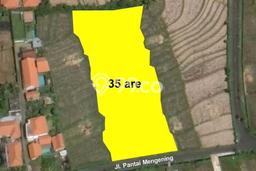 Tanah Kavling Dijual di Badung dengan Spesifikasi 3500m2 Tanah Kavling Dijual di Badung dengan Spesifikasi 3500m2
