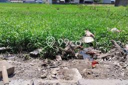Untuk Dijual Tanah di Denpasar Selatan Denpasar Luas 2470m2 SHM Untuk Dijual Tanah di Denpasar Selatan Denpasar Luas 2470m2 SHM