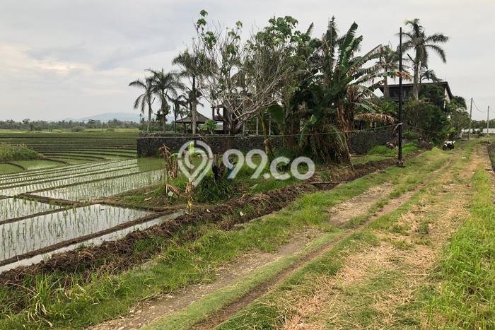 Tanah Kavling Dijual di Tabanan dengan Spesifikasi 4400m2 Tanah Kavling Dijual di Tabanan dengan Spesifikasi 4400m2