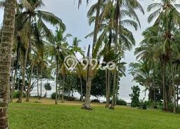 Dijual Tanah di Pekutatan Jembrana Luas 2000m2 SHM Dijual Tanah di Pekutatan Jembrana Luas 2000m2 SHM