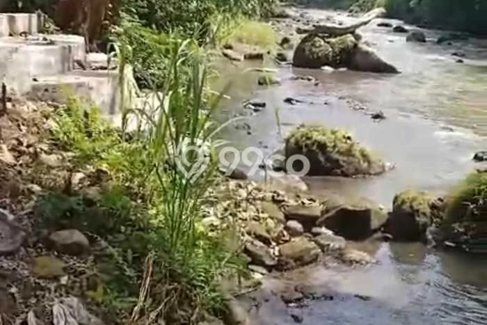 Tanah Kavling Dijual di Singapadu, Gianyar dengan Luas Tanah 1320m2 Tanah Kavling Dijual di Singapadu, Gianyar dengan Luas Tanah 1320m2