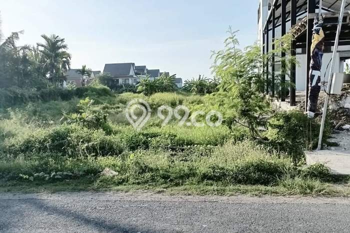 Tanah Investasi Dijual di Badung Punya Luas 1000m2 Tanah Investasi Dijual di Badung Punya Luas 1000m2