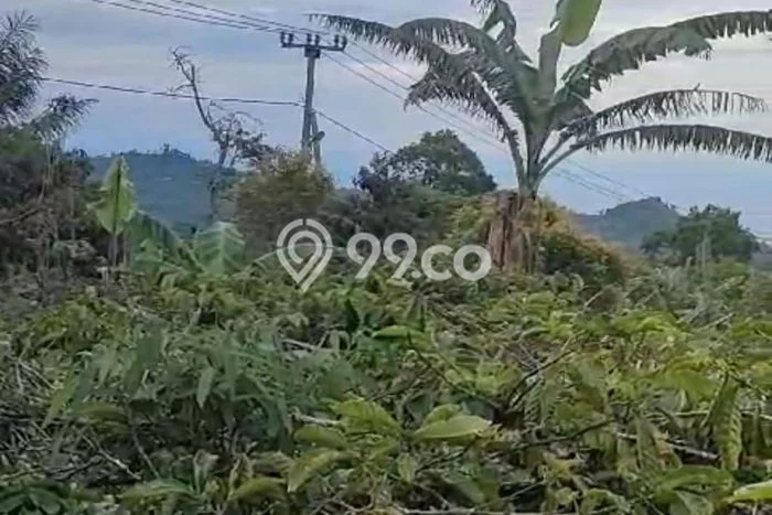 Dijual Tanah 30000m2 di Wanagiri, Buleleng Dijual Tanah 30000m2 di Wanagiri, Buleleng